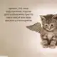 Аватар канала Щп/ Безе жива🔶