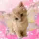 Аватар канала pretty baby