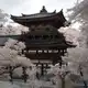 Аватар канала Цитаты🎋🪭