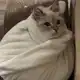 Аватар канала Дух воды