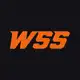 Аватар канала WINLINE Star Series