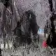 Аватар канала /nellaiiiii