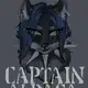 Аватар канала Captain Alpaca