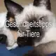 Аватар канала 🐱 Gesundheitstipps für Tiere 🐶