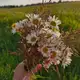 Аватар канала Творчество, жизнь, чай🌿🌸🌼