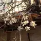 Аватар канала 𝑻𝒉𝒆 𝑷𝒂𝒗𝒊𝒍𝒊𝒐𝒏 𝒐𝒇 𝑺𝒕𝒂𝒓𝒔 (14+)