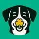 Аватар канала Hundeglück 🐶🍀