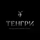 Аватар канала ТЕНГРИ