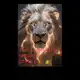 Аватар канала Comunicazioni The Lion King Network 👑