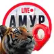 Аватар канала Амур LIVE