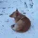 Аватар канала Рэй-Рэй фоткает