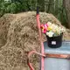 Аватар канала Цветень🌻