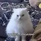 Аватар канала Рест||𝓐𝓭𝓮𝓵 𝓰𝓮𝓭𝓮𝓸𝓷𝓸𝓿𝓷𝓪
