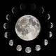 Аватар канала 🌔 ◈ 𝐒𝗁𝖺𝖽𝗈𝗐 𝐂𝗈𝖽𝖾 ◈ 🌖