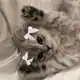 Аватар канала дневник тарелочек🎀