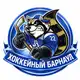 Аватар канала Хоккейный Барнаул
