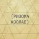 Аватар канала РИЗОМА КОЛЛАБ