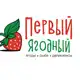 Аватар канала Первый Ягодный 96