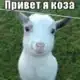 Аватар канала |q.blat|𝒮𝒾𝓁ℯ𝓃𝓉༽𑀗꤀𐌻ꤕઞꤌꤎ рખꤒӄꤌ