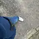 Аватар канала ###