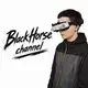 Аватар канала SVR_BlackHorse channel