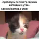 Аватар канала Творча 2.0. Анти-репортаж души