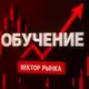 Аватар канала Обучение • Вектор Рынка
