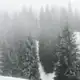 Аватар канала blyunko