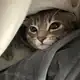 Аватар канала itsvxldyy