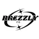 Аватар канала Brezzly FC⚽️🔥🗞️