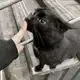Аватар канала d’amour