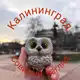Аватар канала 🦉 Калининград: Совиный взгляд 👀