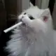 Аватар канала 🚬 𝙨𝙖𝙩𝙞𝙧𝙚×