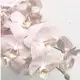 Аватар канала 𑣲 rose épanouie ࣪ ˖ 정
