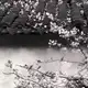 Аватар канала kęep õ.n Lov1ng u `