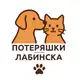 Аватар канала 🐾Потеряшки Лабинска