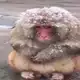 Аватар канала HORTY🇺🇦