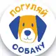 Аватар канала Погуляй собаку в Саратове