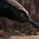 Аватар канала ¿Cómo entrenar a tu dragón?