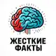 Аватар канала Жесткие факты