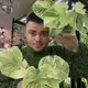 Аватар канала ФЛОРА и ФАУНА. Виктор Лесников