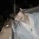 Аватар канала Files sunoo