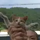 Аватар канала Hey Sun
