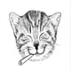 Аватар канала bevaolya tattoo sketches