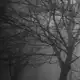 Аватар канала ɪɴꜰᴏ ᴄʜᴀɴɴᴇʟ — ꜰɪɴᴀʟ ɢɪʀʟ