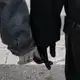 Аватар канала 档案