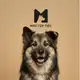 Аватар канала АНО ЦЗЖ Мистер Пёс 🐾