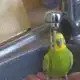 Аватар канала Chaynik