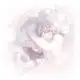 Аватар канала 𐙚┆₊៸៸ ʜᴇᴀʀᴛ ʙʟᴏᴏᴍ𓈒 ⑅
