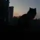 Аватар канала ♡𝓥𝓲𝓴𝓪𝓼 𝓛𝓮𝓫𝓮𝓷♡
